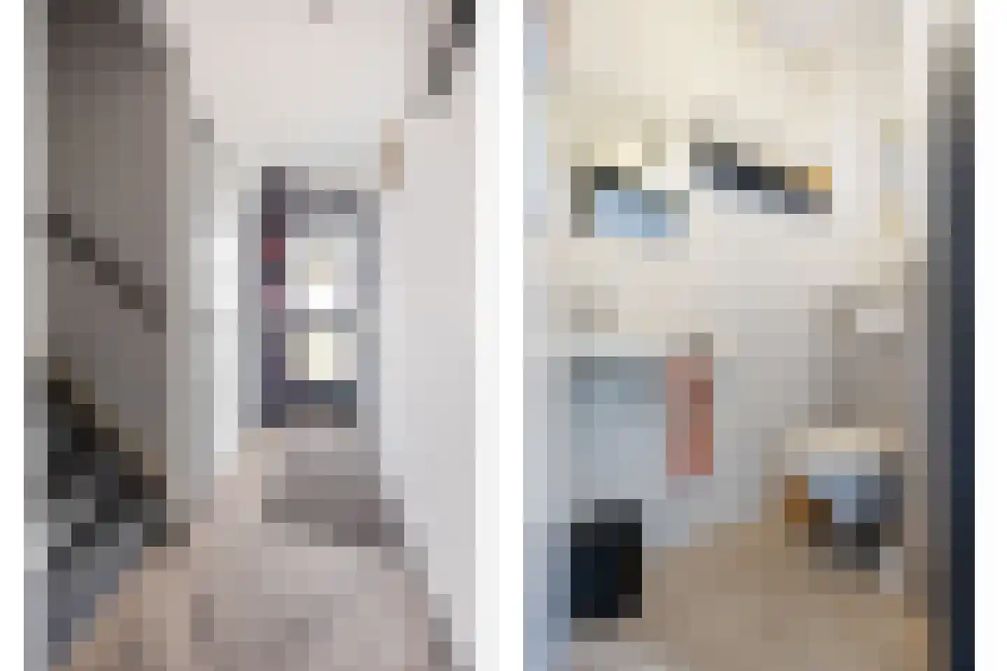 Vriezeweg 71 Deest thumbnail 17