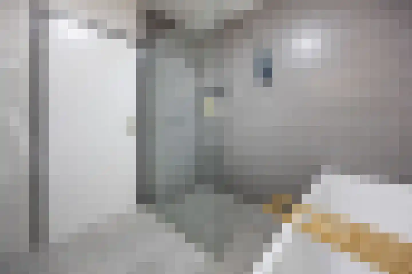 Vriezeweg 71 Deest thumbnail 18