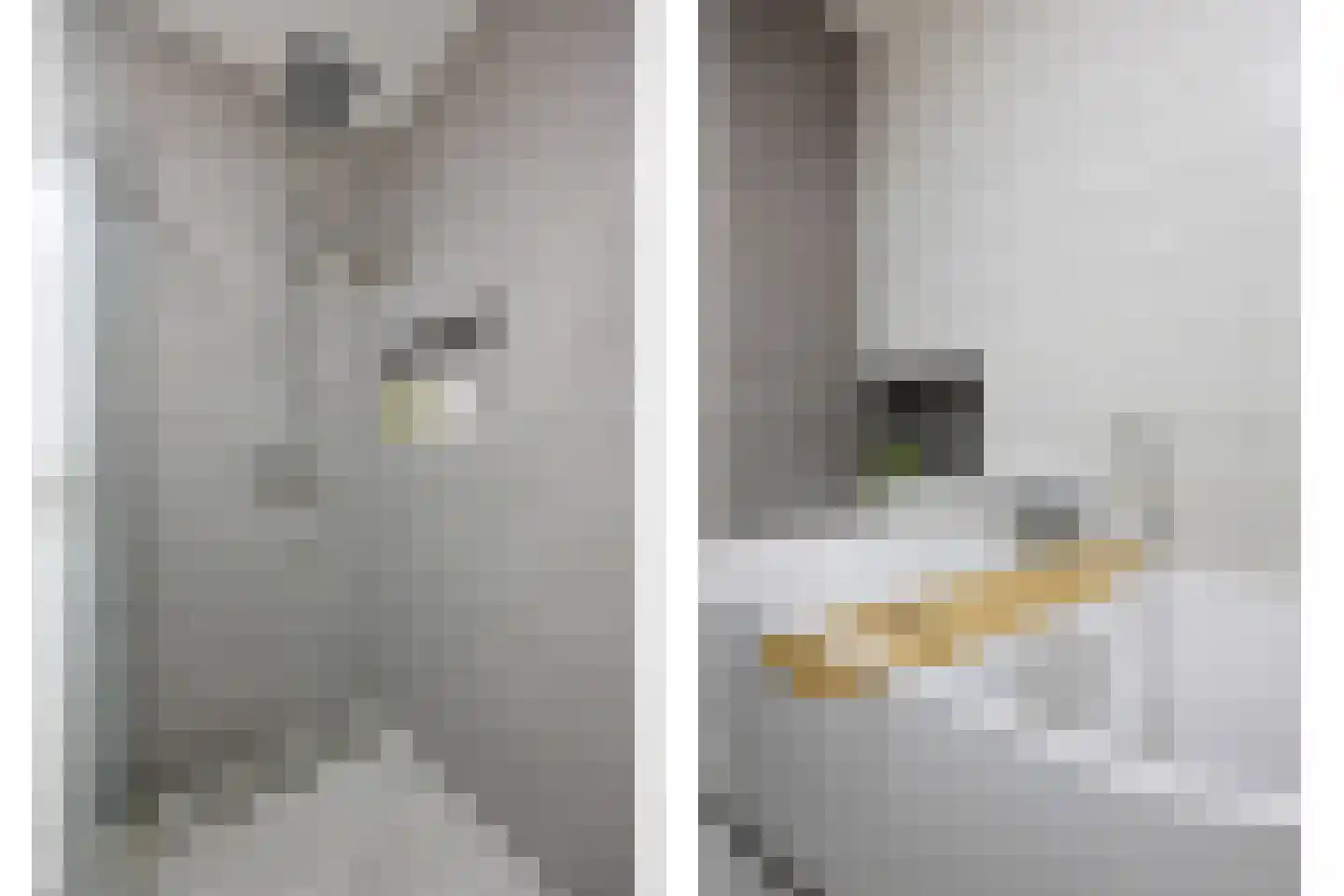 Vriezeweg 71 Deest thumbnail 20