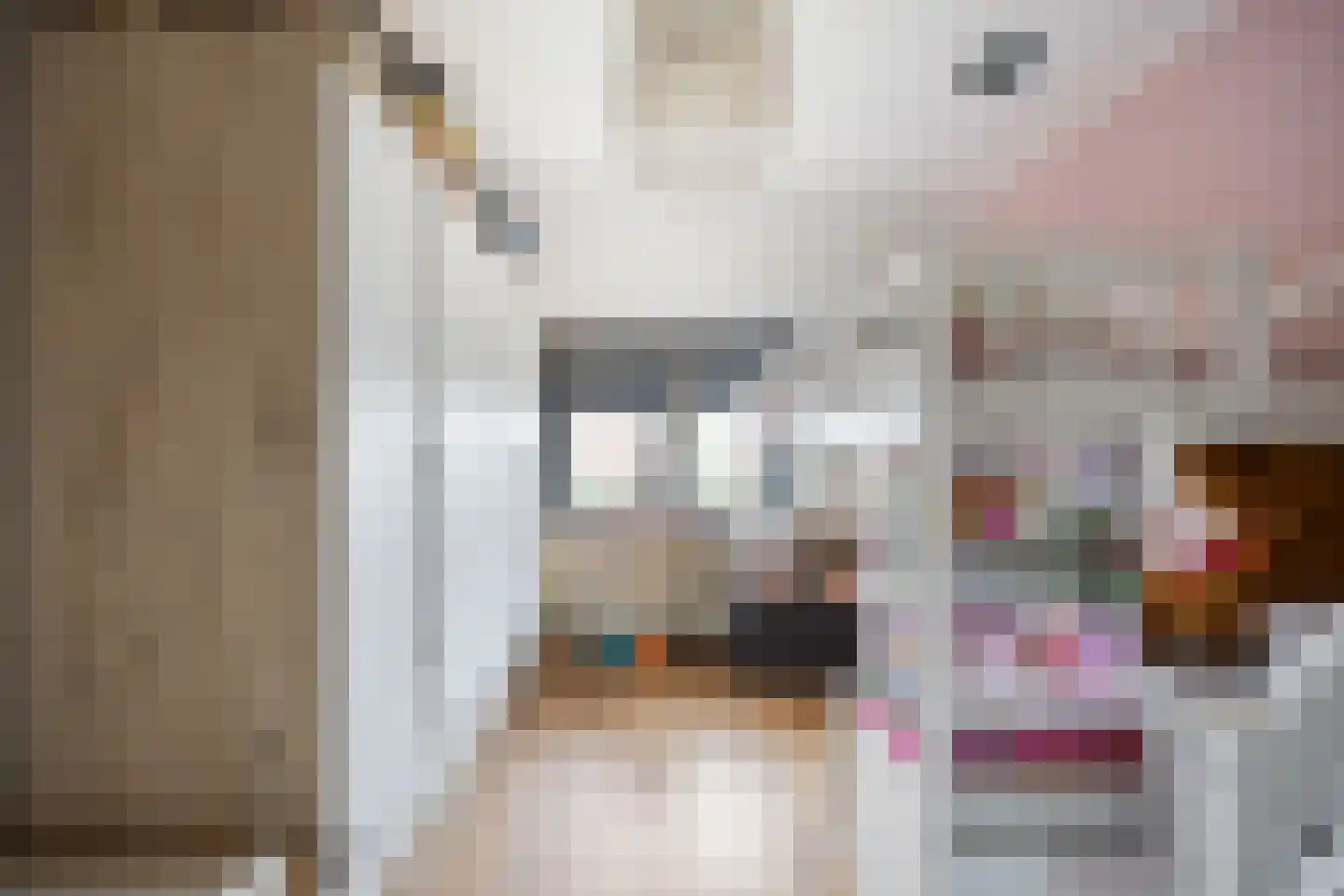 Vriezeweg 71 Deest thumbnail 25
