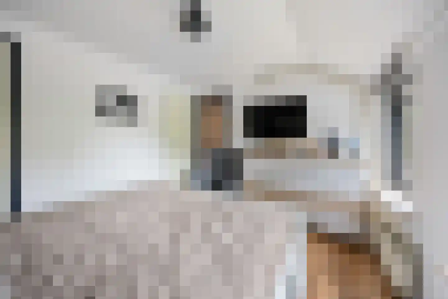 Vriezeweg 71 Deest thumbnail 30