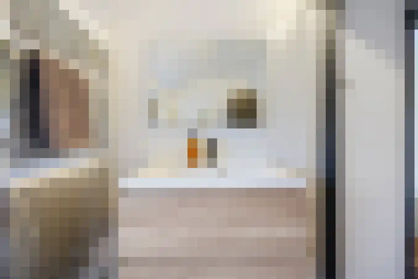 Vriezeweg 71 Deest thumbnail 32
