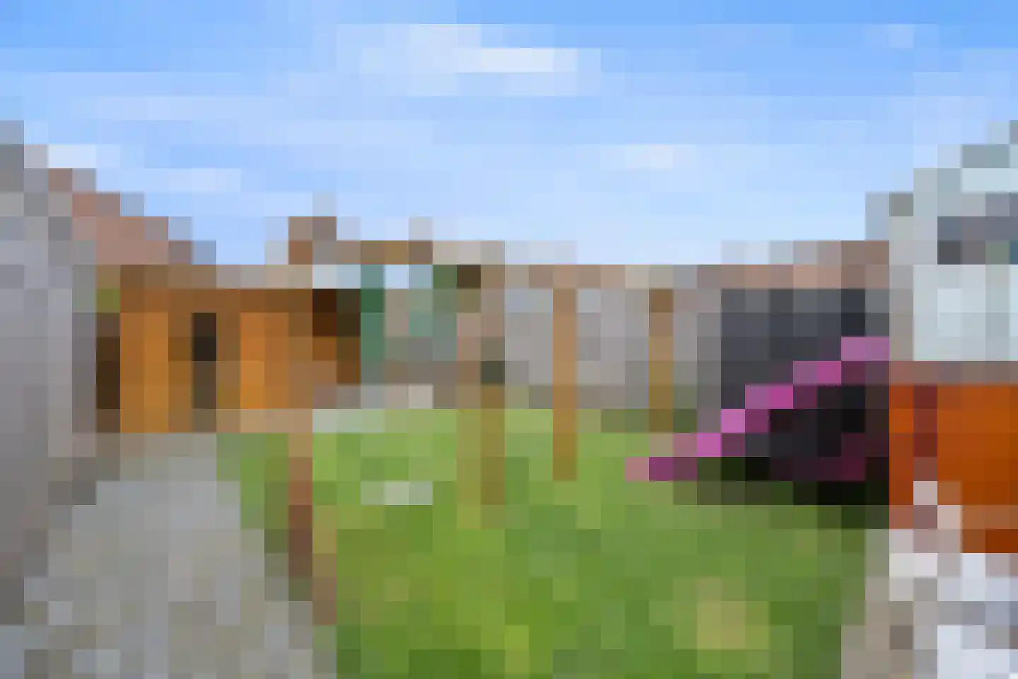 Vriezeweg 71 Deest thumbnail 34