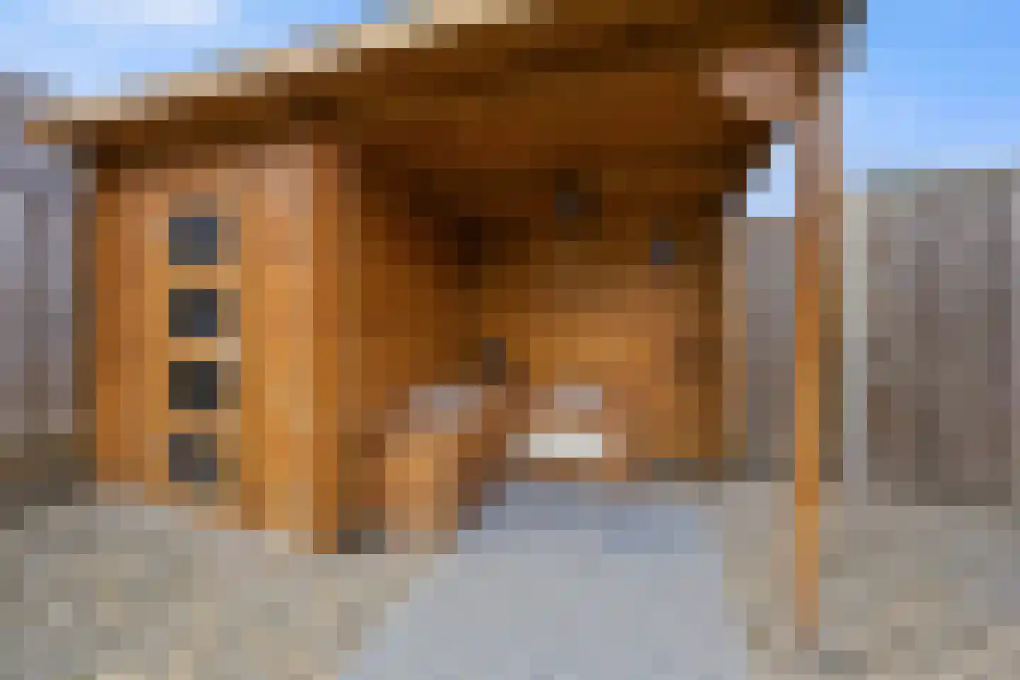 Vriezeweg 71 Deest thumbnail 36