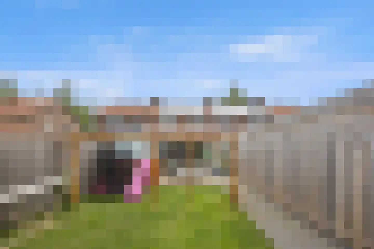Vriezeweg 71 Deest thumbnail 37