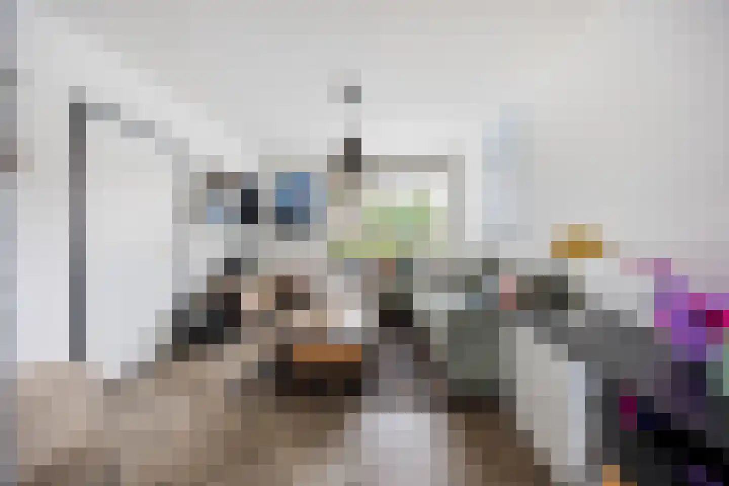 Vriezeweg 71 Deest thumbnail 7