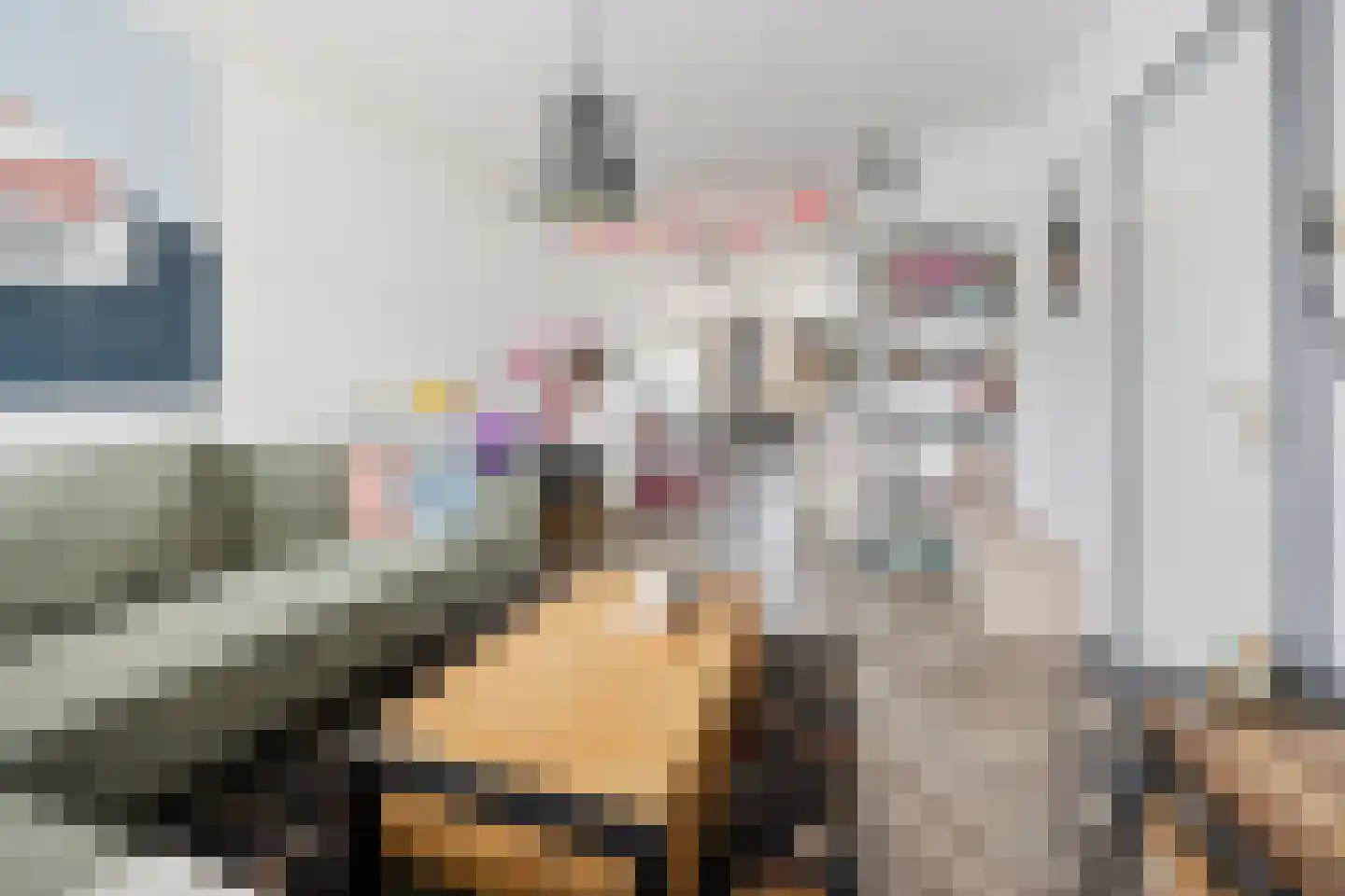 Vriezeweg 71 Deest thumbnail 8