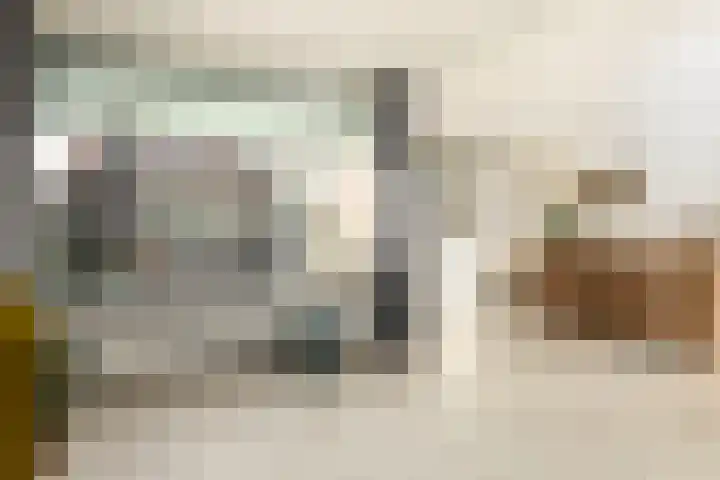 Vriezeweg 93 Deest thumbnail 12