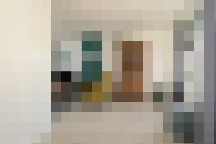 Vriezeweg 93 Deest thumbnail 13