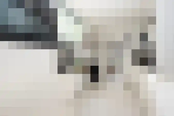 Vriezeweg 93 Deest thumbnail 14