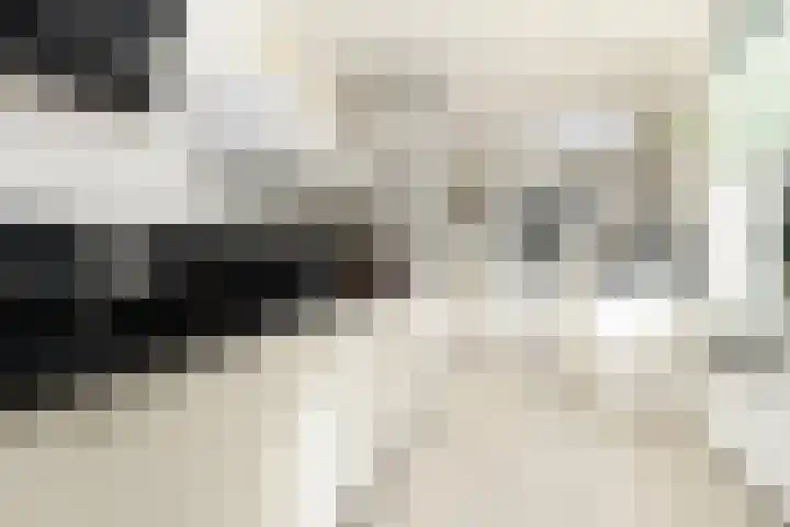 Vriezeweg 93 Deest thumbnail 15
