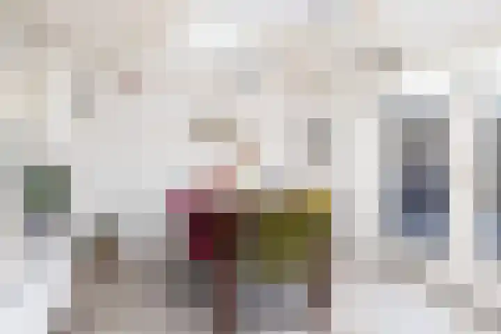 Vriezeweg 93 Deest thumbnail 16