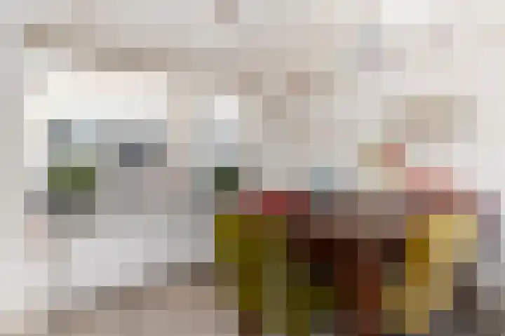 Vriezeweg 93 Deest thumbnail 17
