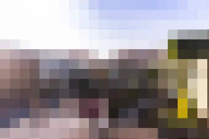 Vriezeweg 93 Deest thumbnail 19
