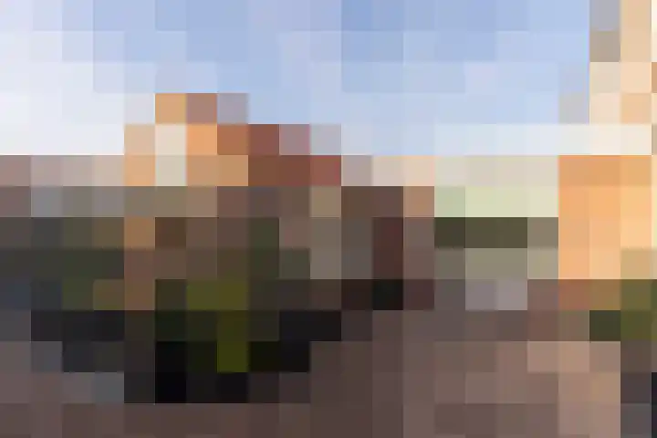 Vriezeweg 93 Deest thumbnail 20