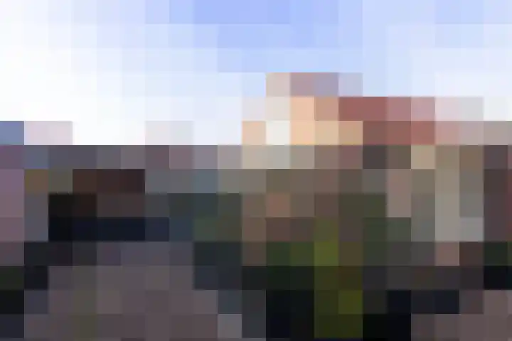 Vriezeweg 93 Deest thumbnail 21