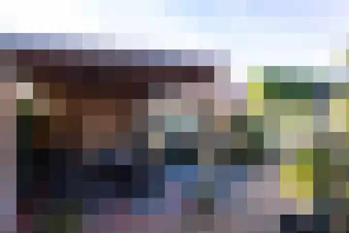 Vriezeweg 93 Deest thumbnail 22