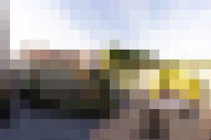 Vriezeweg 93 Deest thumbnail 23