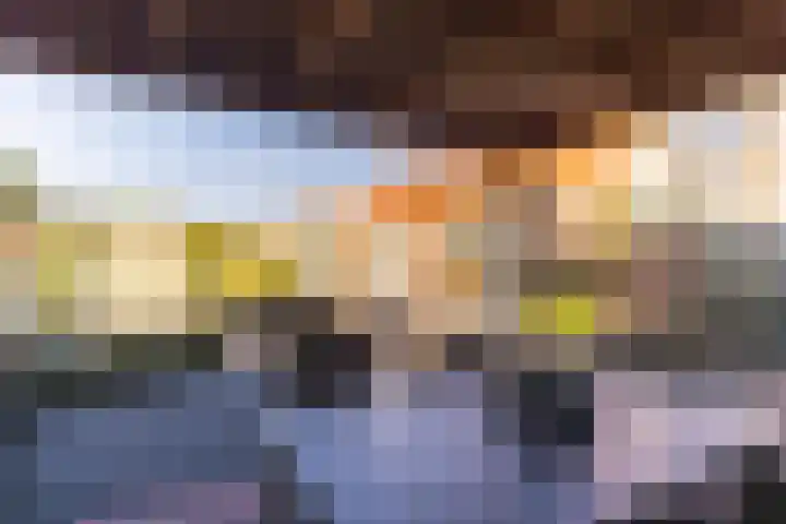 Vriezeweg 93 Deest thumbnail 24