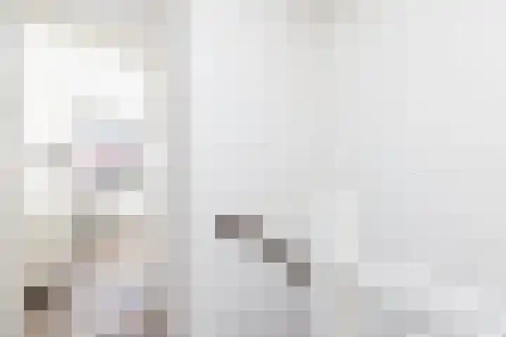 Vriezeweg 93 Deest thumbnail 26