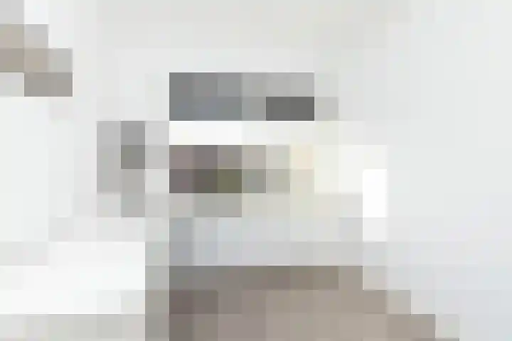 Vriezeweg 93 Deest thumbnail 27