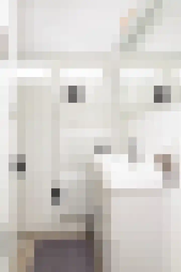 Vriezeweg 93 Deest thumbnail 28