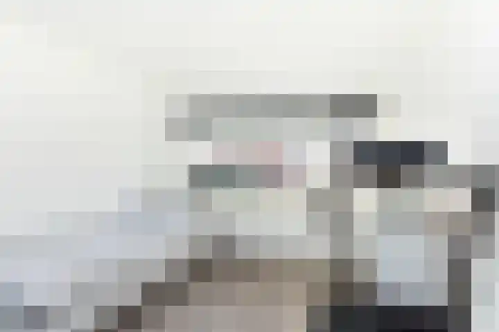 Vriezeweg 93 Deest thumbnail 30