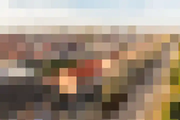 Vriezeweg 93 Deest thumbnail 33