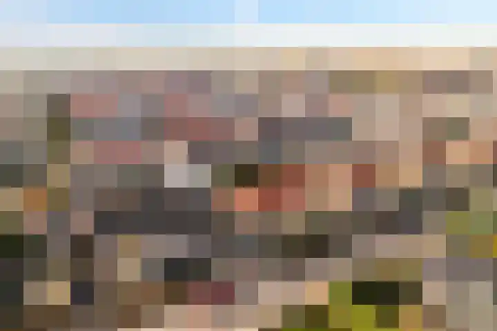 Vriezeweg 93 Deest thumbnail 34