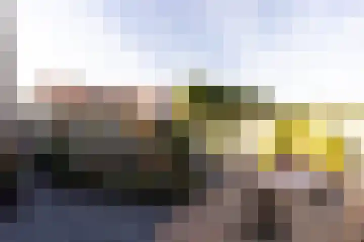 Vriezeweg 93 Deest thumbnail 4
