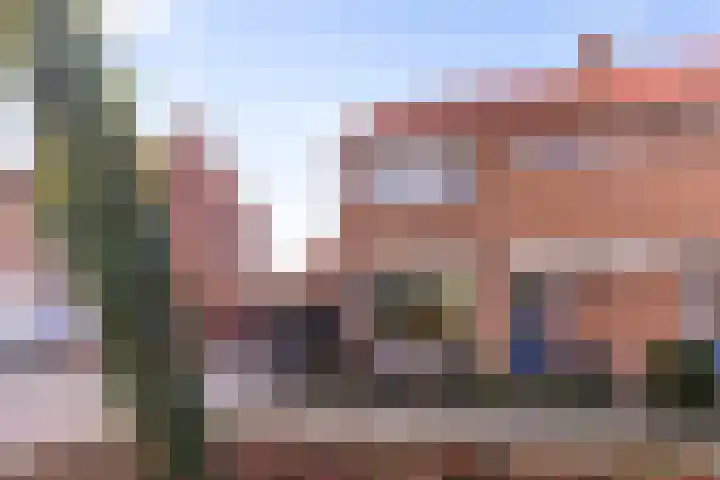 Vriezeweg 93 Deest thumbnail 5