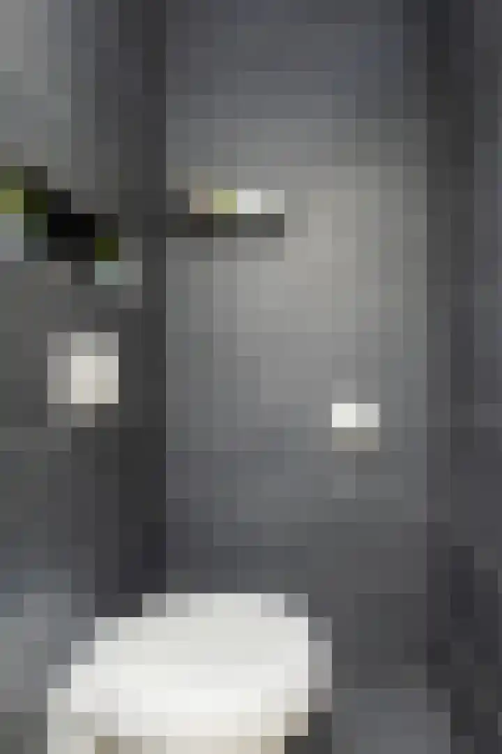 Vriezeweg 93 Deest thumbnail 7