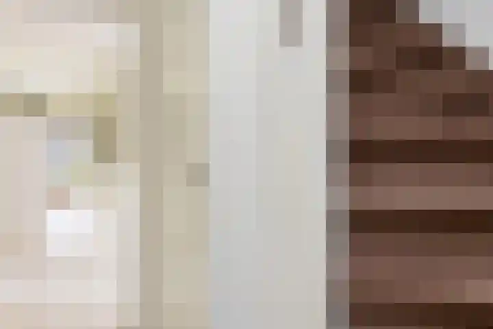 Vriezeweg 93 Deest thumbnail 8