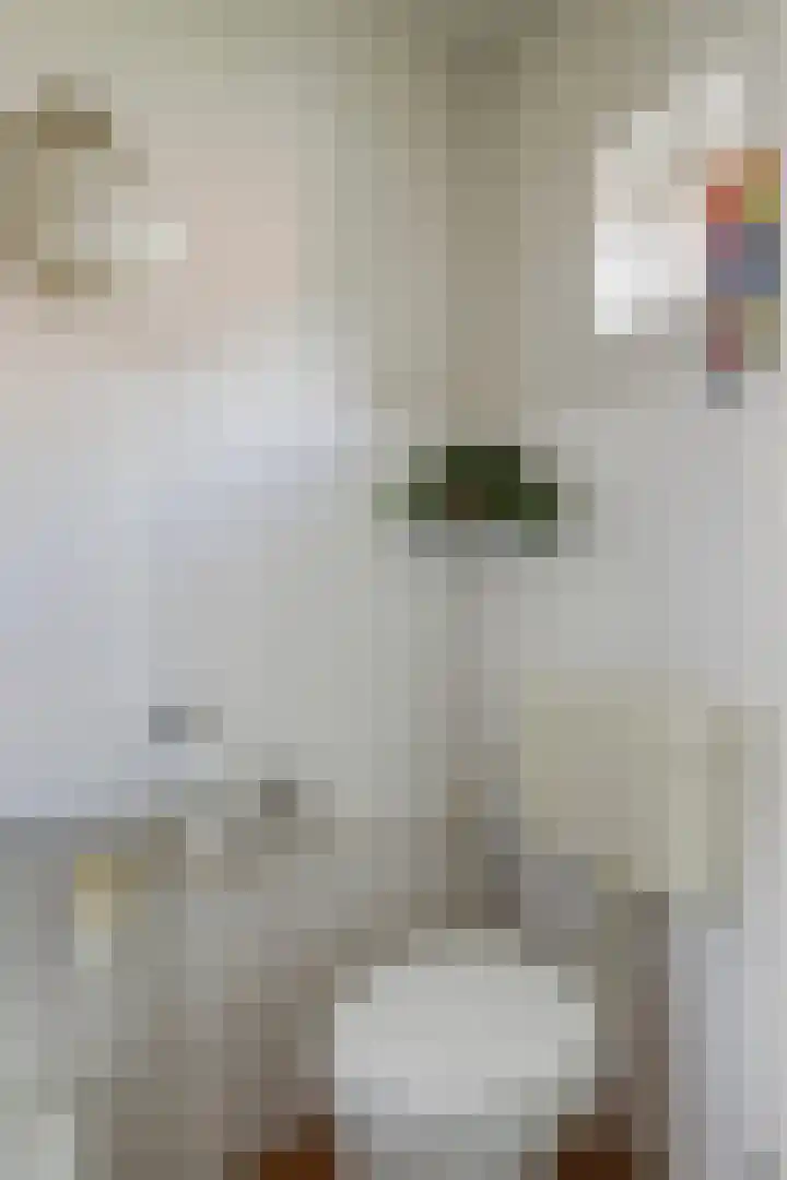 Vriezinnenstede 14 Vaassen thumbnail 11