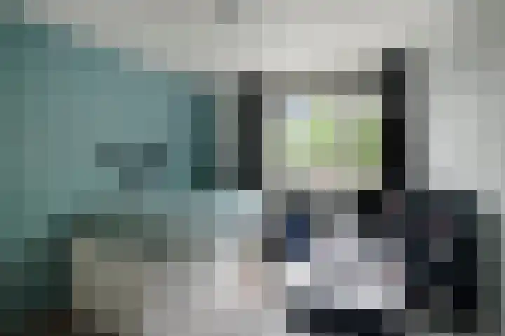 Vriezinnenstede 14 Vaassen thumbnail 16