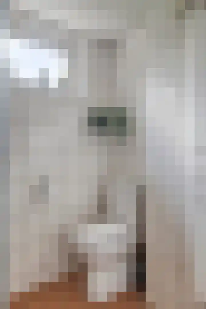 Vriezinnenstede 14 Vaassen thumbnail 20