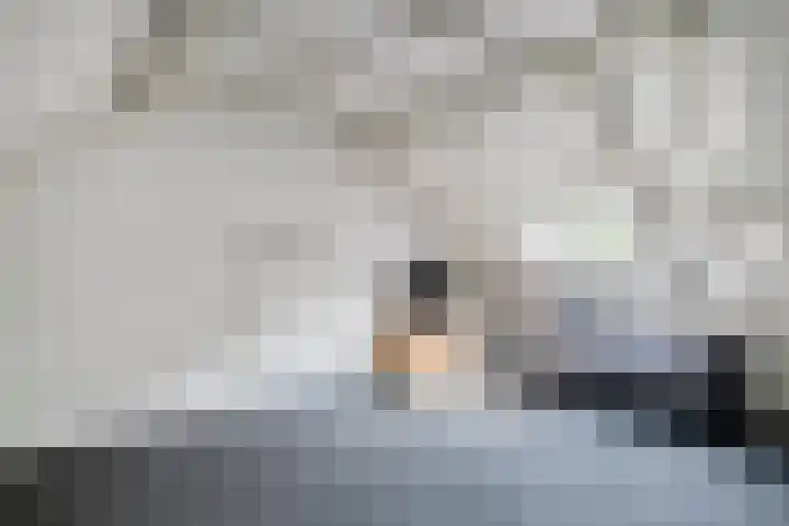 Vriezinnenstede 14 Vaassen thumbnail 22