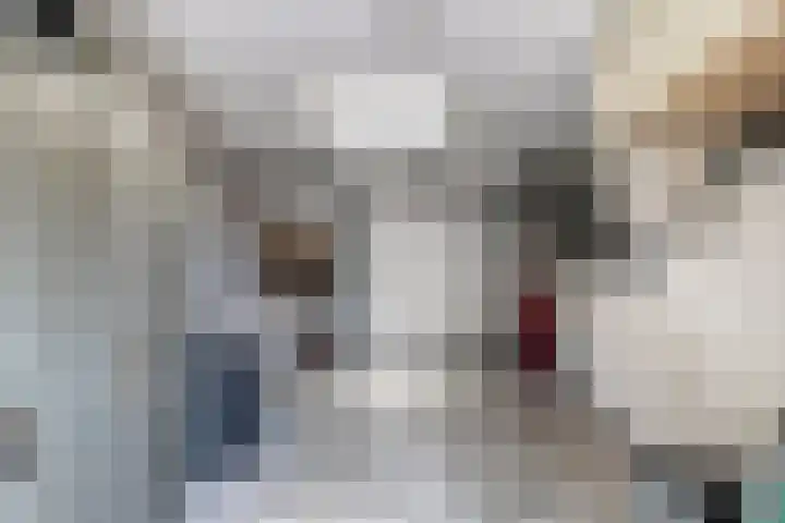 Vriezinnenstede 14 Vaassen thumbnail 28