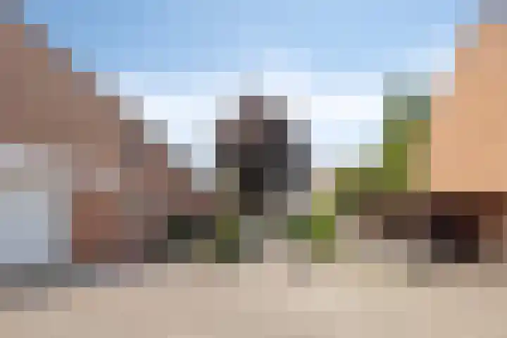 Vriezinnenstede 14 Vaassen thumbnail 30