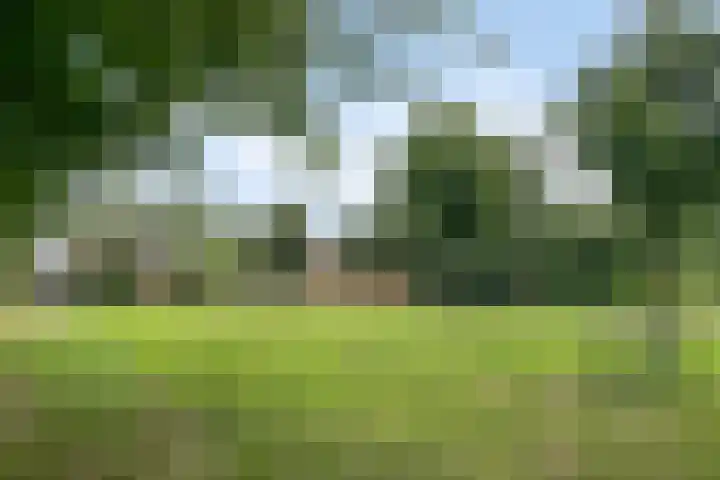 Vriezinnenstede 14 Vaassen thumbnail 31