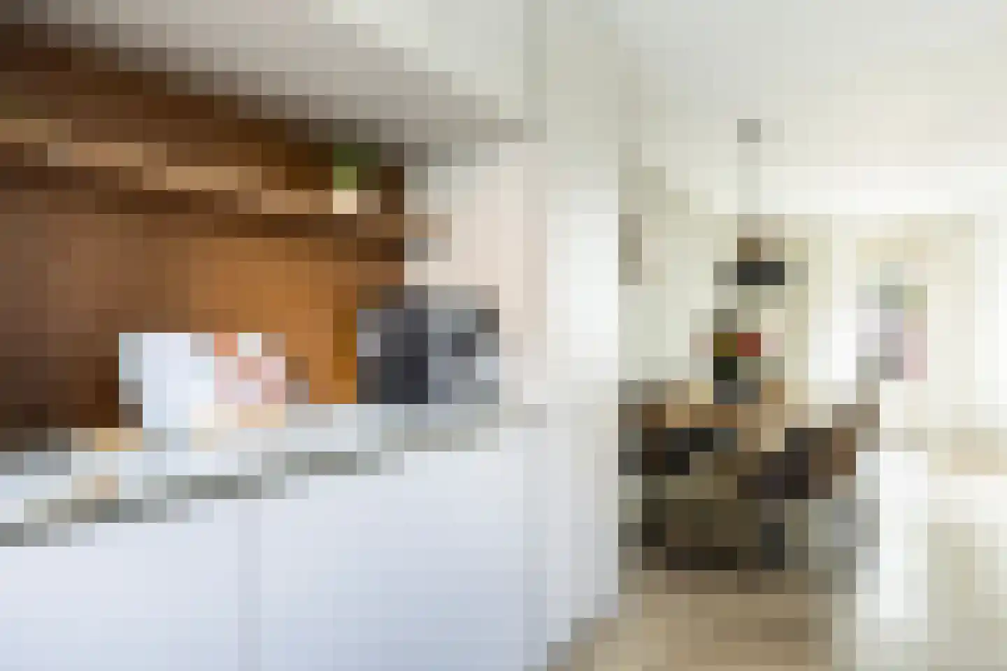 Vriezinnenstede 6 Vaassen thumbnail 10
