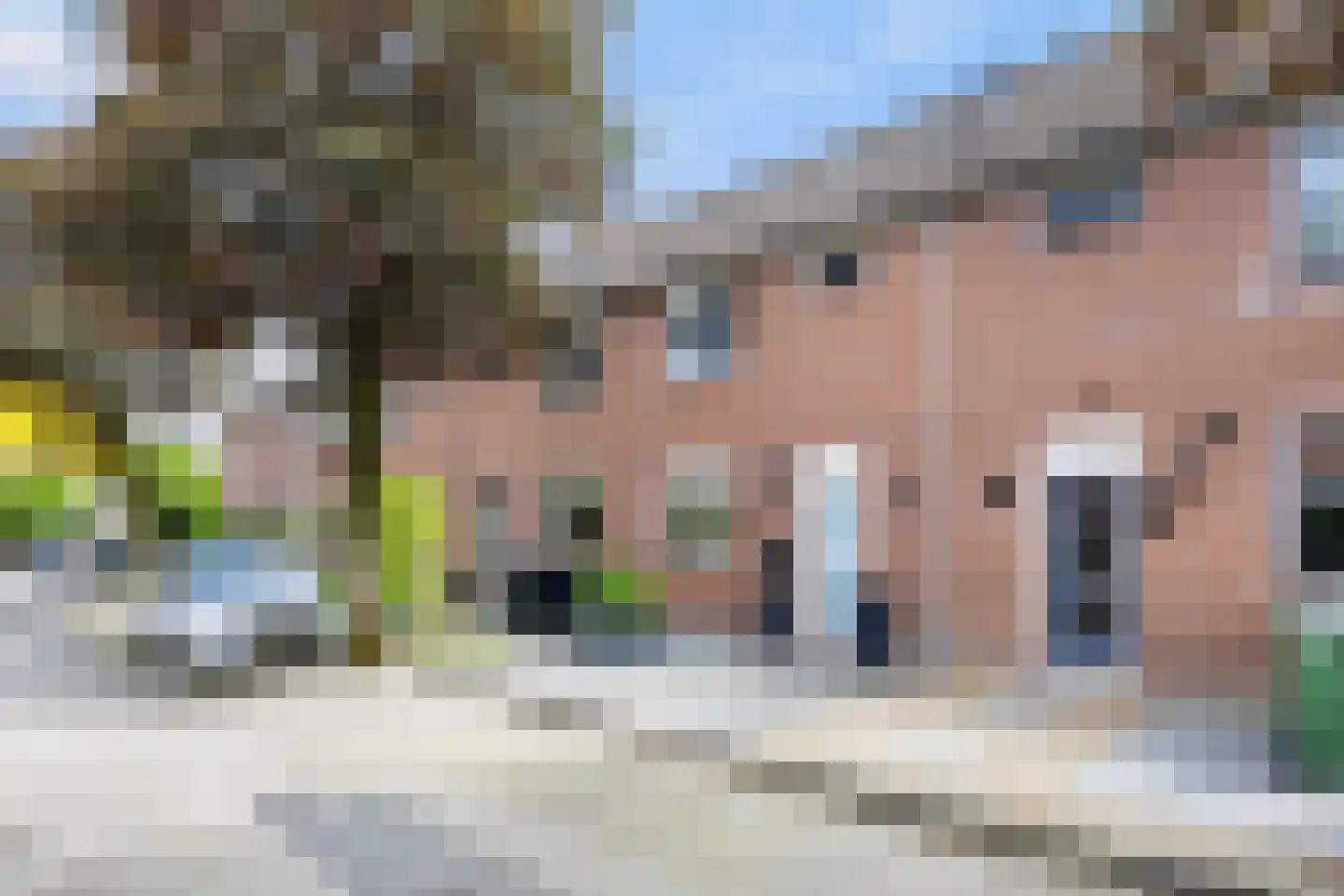 Vriezinnenstede 6 Vaassen foto 2
