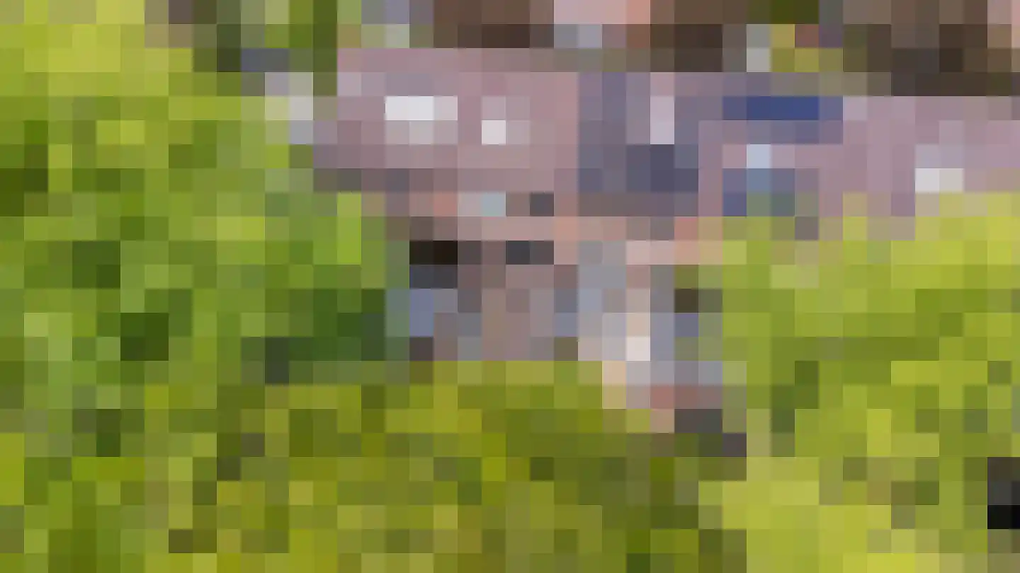 Vriezinnenstede 6 Vaassen thumbnail 32