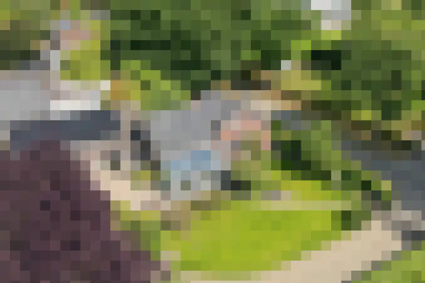 Vrij 16 Siebengewald