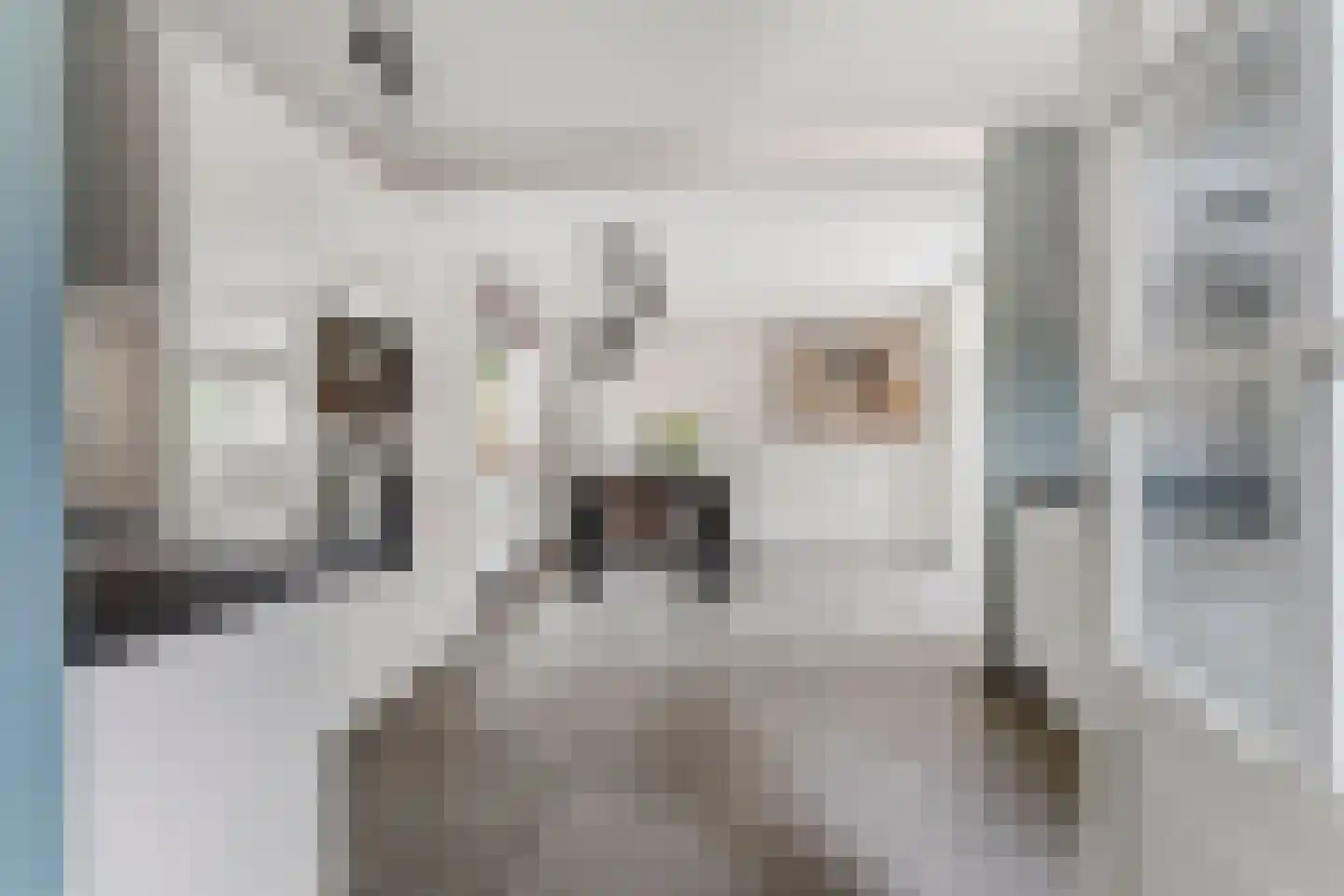 Vrij 16 Siebengewald thumbnail 16
