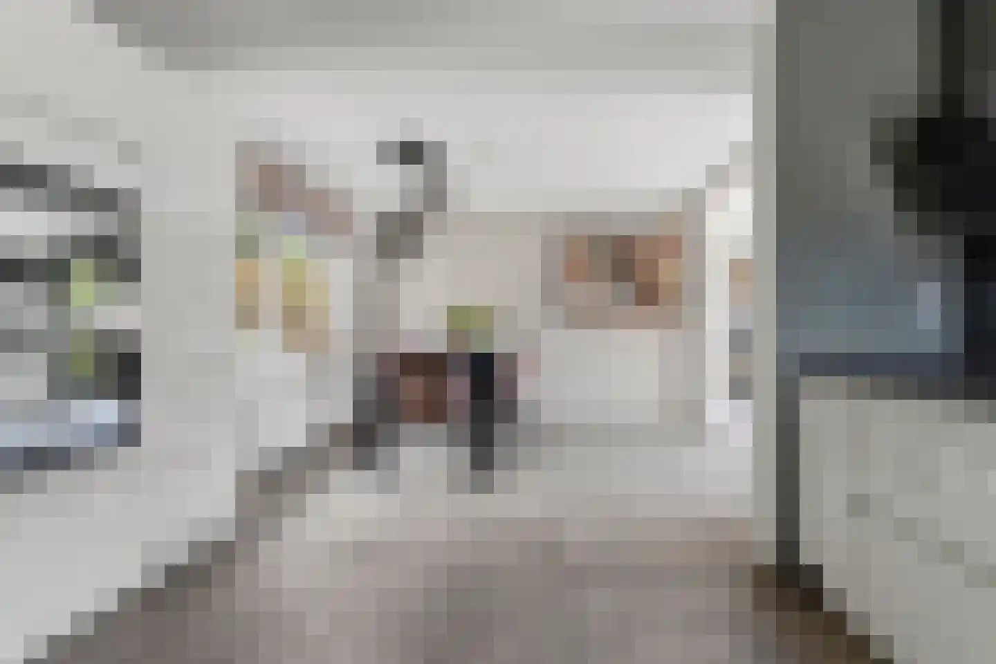 Vrij 16 Siebengewald thumbnail 17