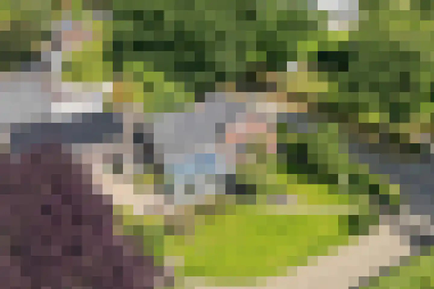 Vrij 16 Siebengewald foto 2
