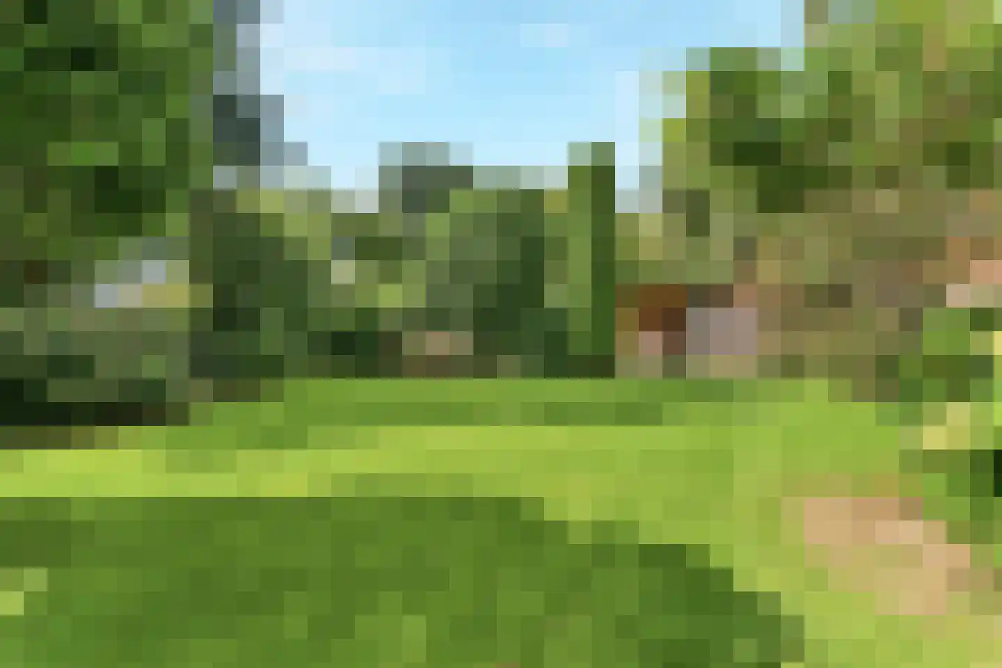 Vrij 16 Siebengewald thumbnail 37