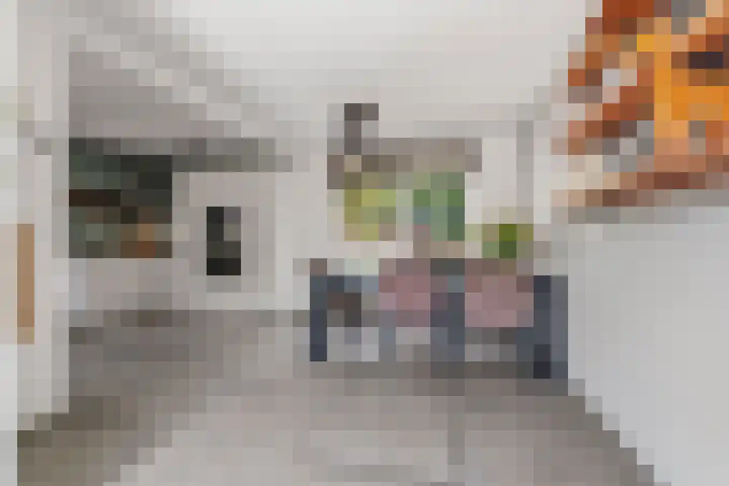 Vrij 16 Siebengewald thumbnail 4