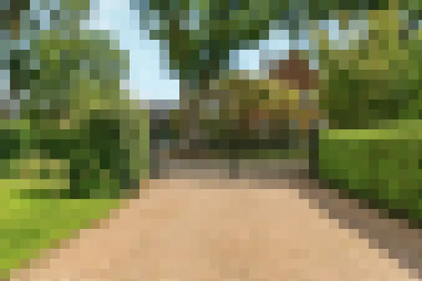 Vrij 16 Siebengewald thumbnail 40